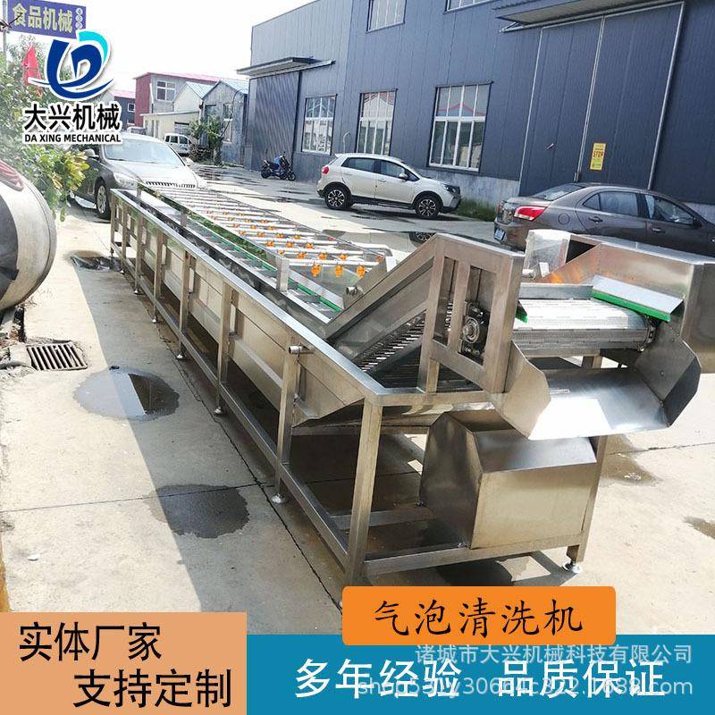 杨梅荔枝气泡清洗机 去农残果蔬气泡消毒机 红薯土豆全自动清洗线