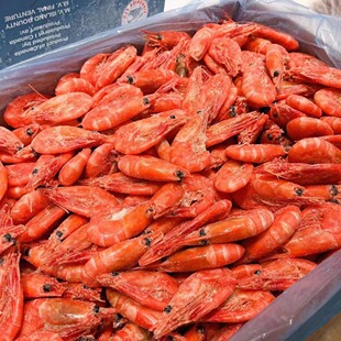 大号新虾加拿大国王北极甜虾特大号头籽冰虾元宝虾熟冻解冻即食