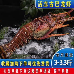 精选大龙虾礼盒新鲜活速冻生冻大古巴龙虾可接受定制海鲜礼盒