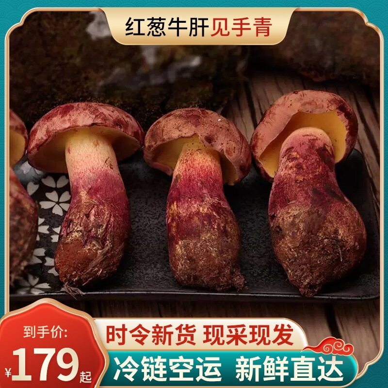 云南蘑菇见手青美味牛肝菌