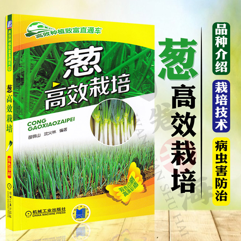葱高效栽培 栽葱技术书从入门到精通 大葱病虫害诊断与防治技术 分葱