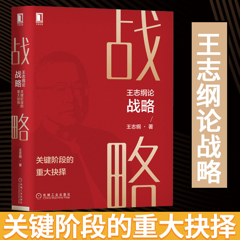 王志纲论战略:关键阶段的重大抉择 中国式战略 王志纲 定位 龙永图  知行合一 沉淀30年企业咨询案例集中论述战略方法论
