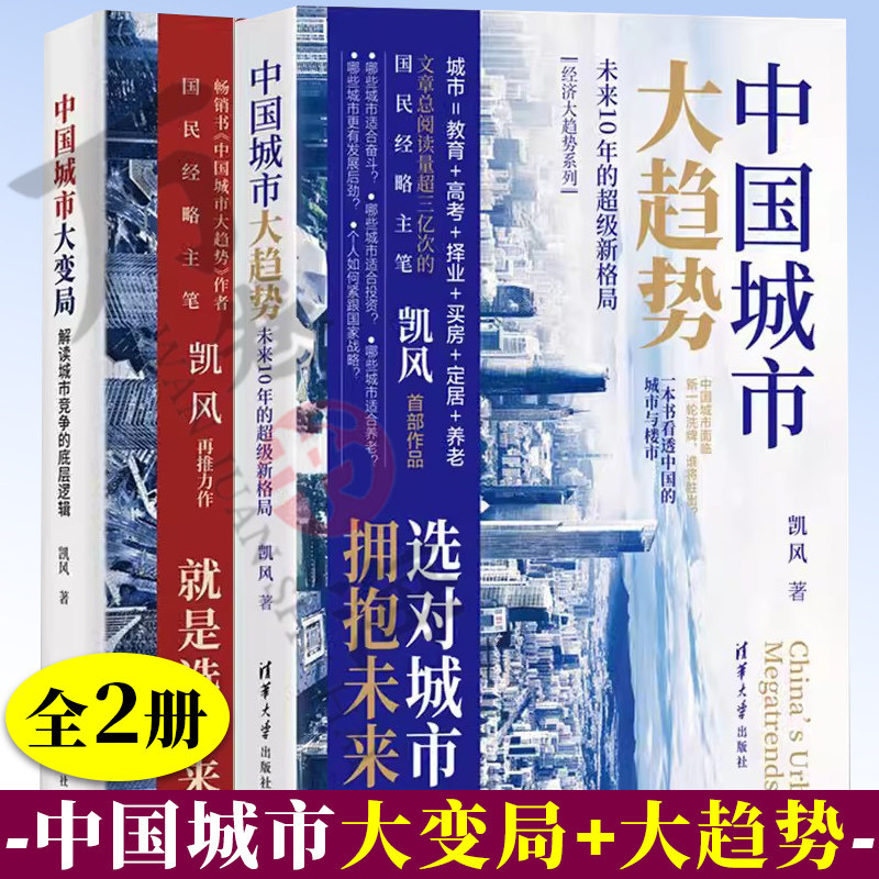 2册 中国城市大变局 解读城市竞争的底层逻辑+中国城市大趋势 未来10年的超级新格局 凯风 国民经略主笔凯风再推力作 城市发展书籍