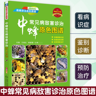 中蜂常見病敵害診治原色圖譜 等 中蜂病毒病細(xì)菌病原蟲病環(huán)境及遺傳因素引起 疾病敵蟲害及中蜂中毒預(yù)防診斷用藥指南圖書籍 任勤