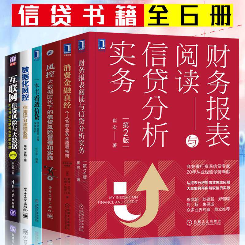 信贷书籍全6册 一本书看透信贷+财务报表阅读与信贷分析实务+数据化风控+风控+互联网信贷风险与大数据+消费金融真经信贷基础知识