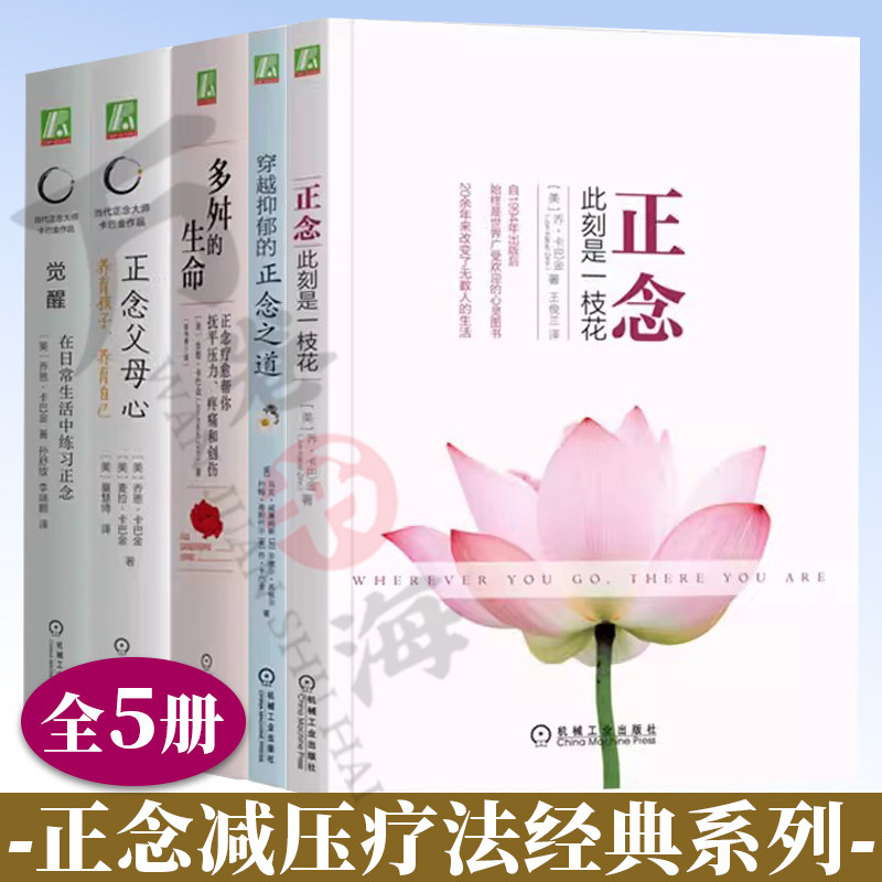 穿越抑郁正念之道 正念此刻是一枝花 多舛的生命 正念疗愈帮你抚平压力疼痛创伤 卡巴金正念减压疗法 身心疗愈 心里咨询与治疗书籍