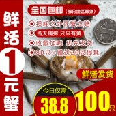 盘锦河蟹鲜活大1一元 稻田蟹小螃蟹六月黄大闸蟹活蟹 蟹香辣蟹2二元