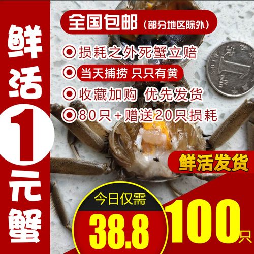 100只活蟹鲜活盘锦稻田蟹一元蟹