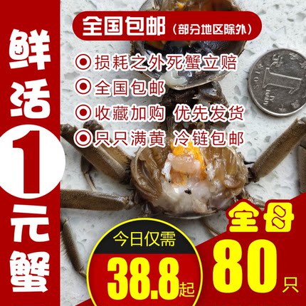 盘锦河蟹鲜活大1一元蟹香辣蟹2二元醉蟹活蟹六月黄稻田蟹小螃蟹