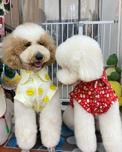 手工新品狗狗衬衣大狗夏季衣服金毛拉多巨贵无袖衫松狮阿拉萨摩耶