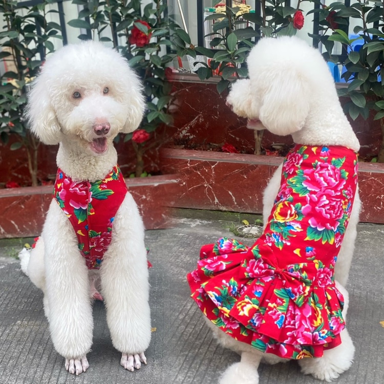 大狗东北大花裙子夹棉中大型狗狗裙子礼服巨贵拉多冬装金毛阿拉衣