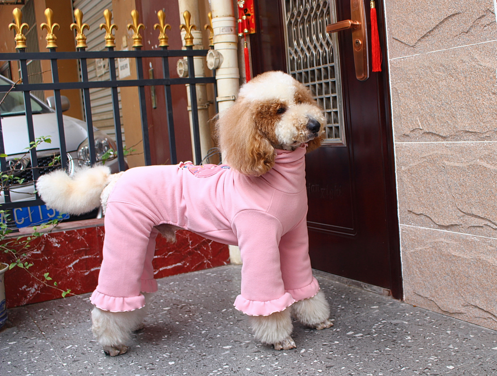 新款大狗连体保暖衣巨贵四脚衣防脏裤金毛拉多边牧冬装狗摇粒绒衣