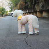 纯棉大狗海军领四脚衣巨贵连体衣阿拉萨摩金毛柴犬防脏大狗四脚衣