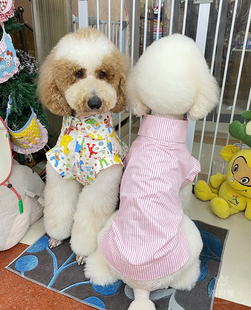 手工大狗衣服巨贵金毛拉多边牧衬衣阿拉哈士奇松狮夏装宠物服装