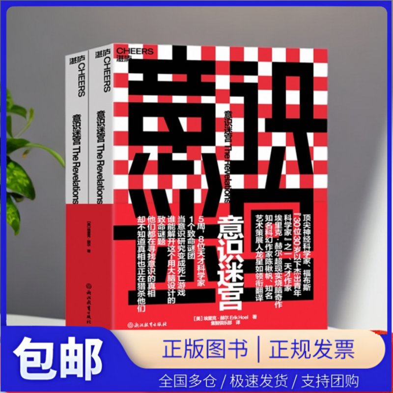 【湛庐图书】意识迷宫 埃里克赫尔 超现实烧脑奇作 科幻小说 当意识研究变成死亡游戏，谁能解开这个用大脑设计的致命谜题
