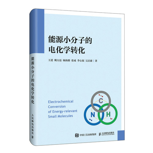 碳氢氮能源小分子的电化学转化 碳氢氮循环 催化剂