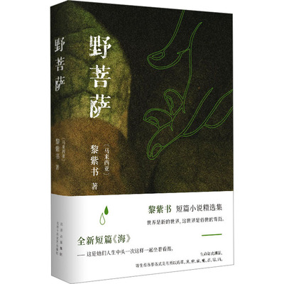 野菩萨 (马来)黎紫书 著 中国现当代文学 文学 北京十月文艺出版社