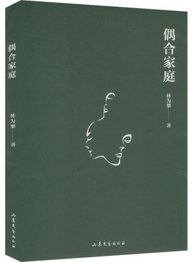 偶合家庭 林为攀 山东文艺出版社 【正版图书书籍】