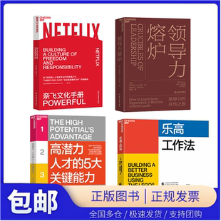 领导力熔炉+奈飞文化手册+高潜力人才的5大关键能力+乐高工作法领导力的升华之旅 培养领导者 企业管理领导力 正版书籍