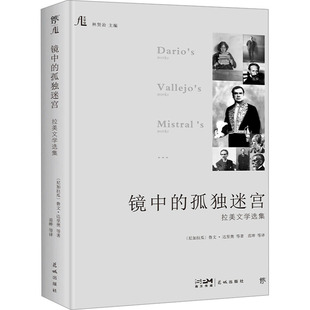 镜中的孤独迷宫 拉美文学选集 (尼加)鲁文·达里奥 等 花城出版社 【正版图书书籍】