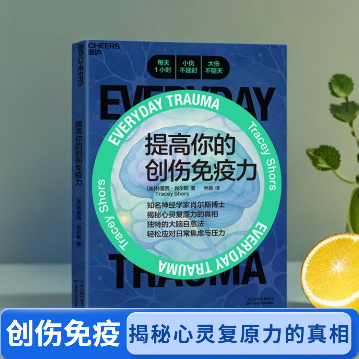 提高你的创伤免疫力 知名神经学家肖尔斯博士 揭秘心灵复原力的真相 独特的大脑自愈法 轻松应对日常焦虑与压力