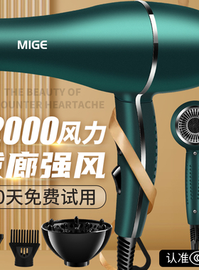 德系发廊电吹风机家用速干冷热理发店专用大功率负离子护发宿舍静