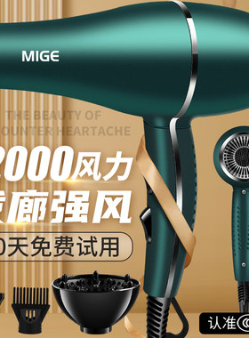 德系发廊电吹风机家用速干冷热理发店专用大功率负离子护发宿舍静