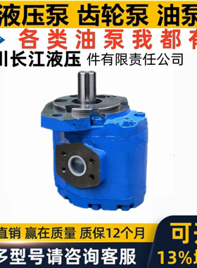 新款四川长江CBY3063/3080/3125/3100/3040/3050 - B1FR B2FR包邮