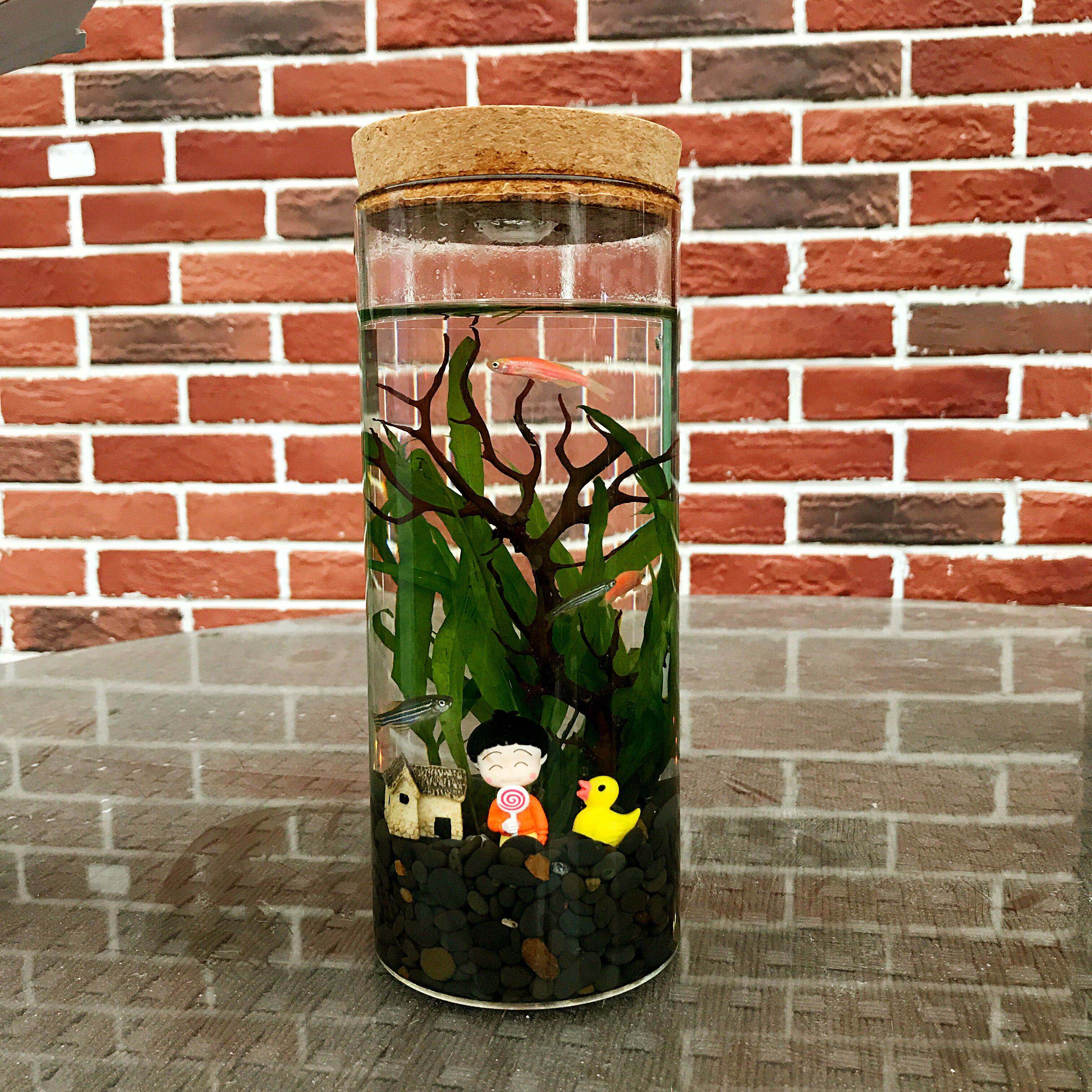 包邮带led灯不换水淡水生态鱼瓶水族宠超净室孔直径自助餐馆|ruв категории животное/Животное питание и принадлежностей, аквариум мира, рыба - от Buy2taobao.com для оказания профессиональной услуги покупки агента Taobao