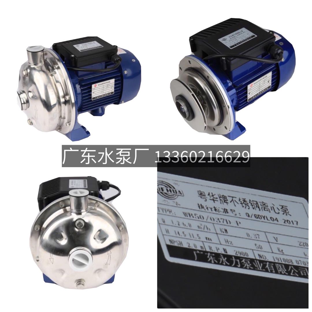 新款泵WB400/150-P不锈钢