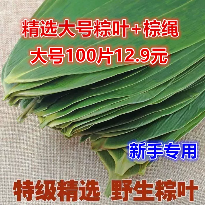 粽叶新鲜粽子叶野生箬叶精选大叶现摘100片家用商用专用端午包粽
