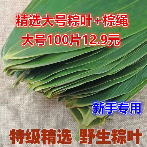 粽叶新鲜粽子叶野生箬叶精选大叶现摘100片家用商用专用端午包粽