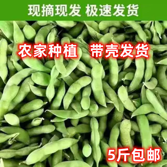 毛豆新鲜毛豆带壳青毛豆嫩豆青豆黄豆角农家种植现摘江西本地蔬菜