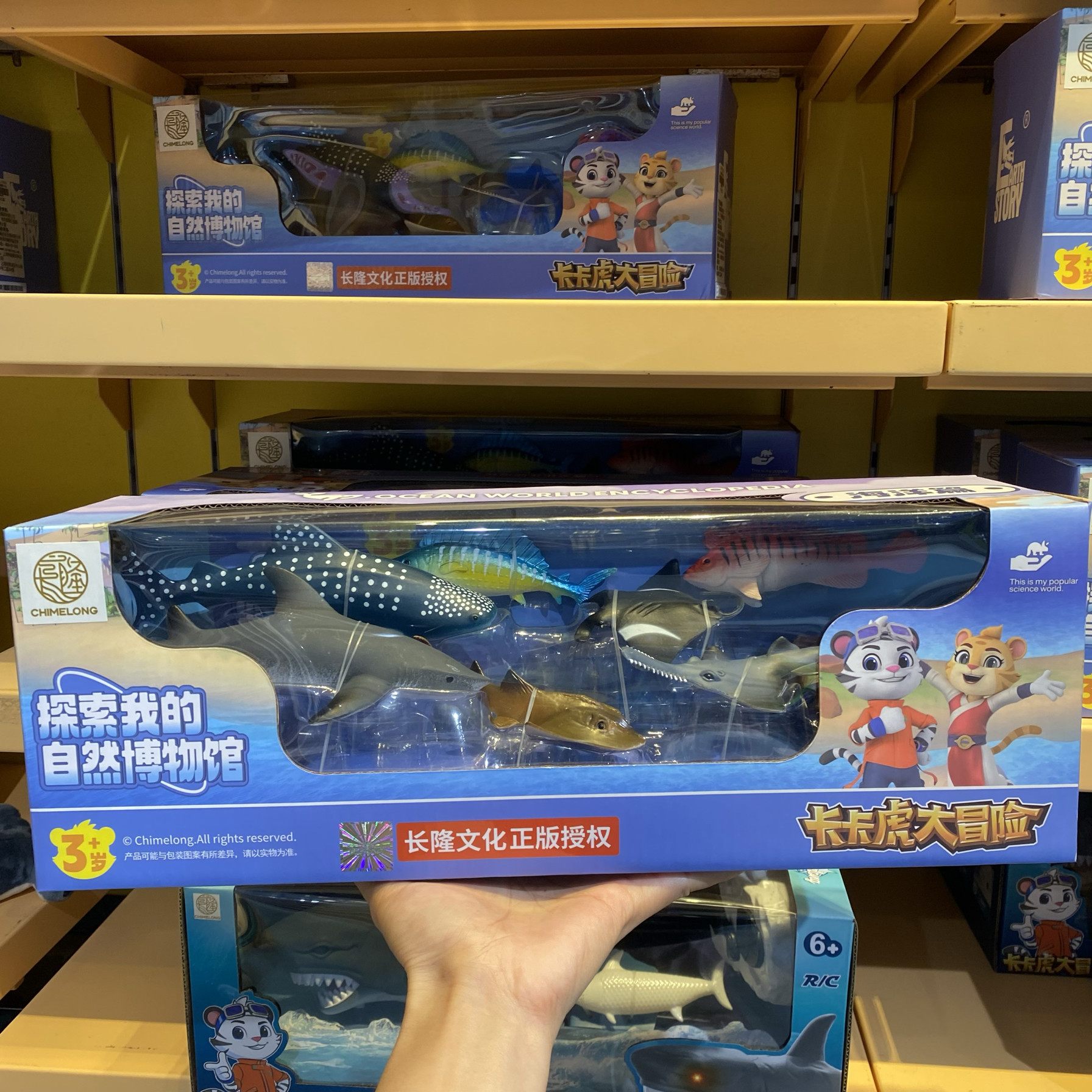 长隆野生动物模型玩具锤头鲨八爪鱼鲸鲨鲨鱼男女孩玩具纪念礼物