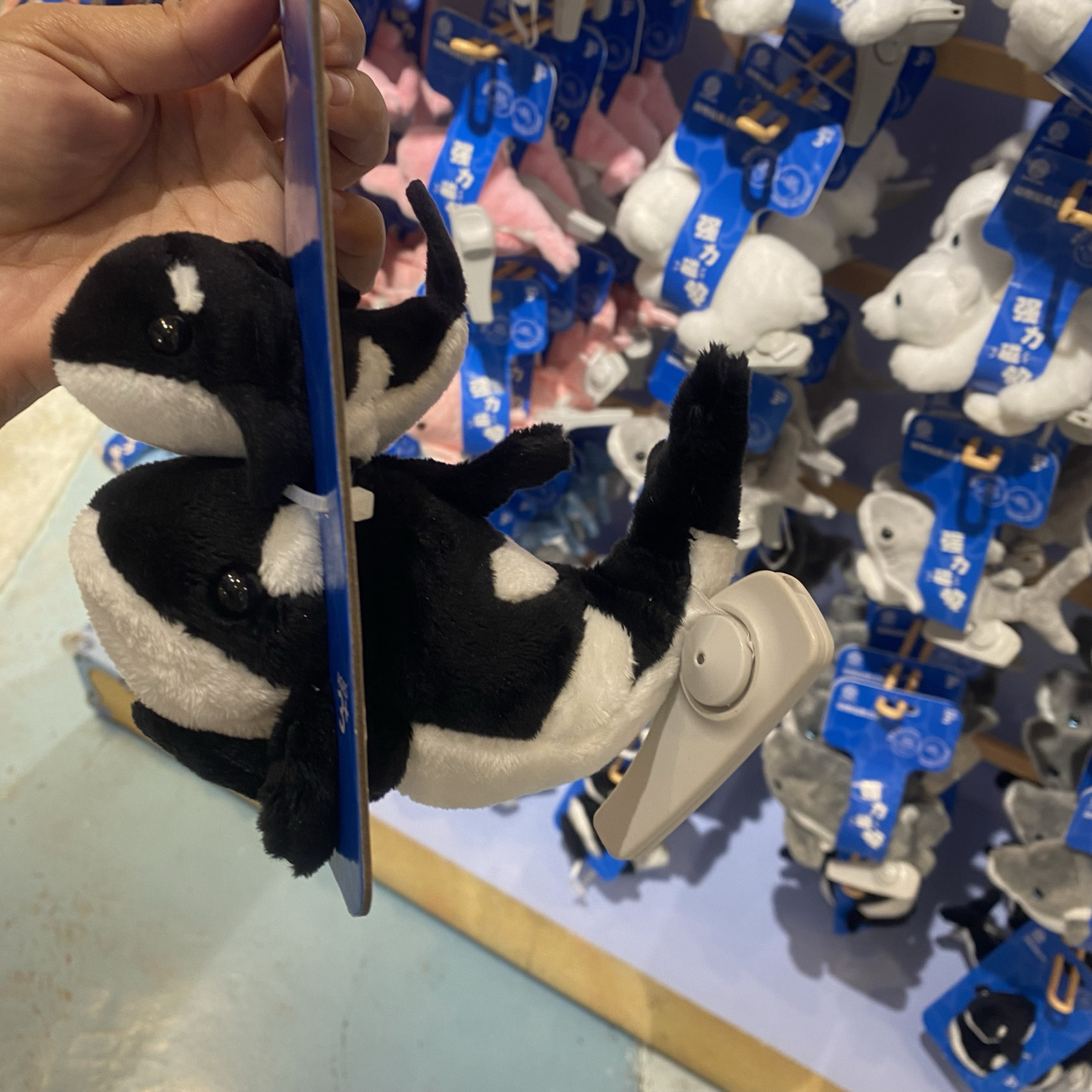 长隆宇宙飞船纪念品珠海海洋王国毛绒虎鲸坐肩膀公仔磁铁磁吸肩上
