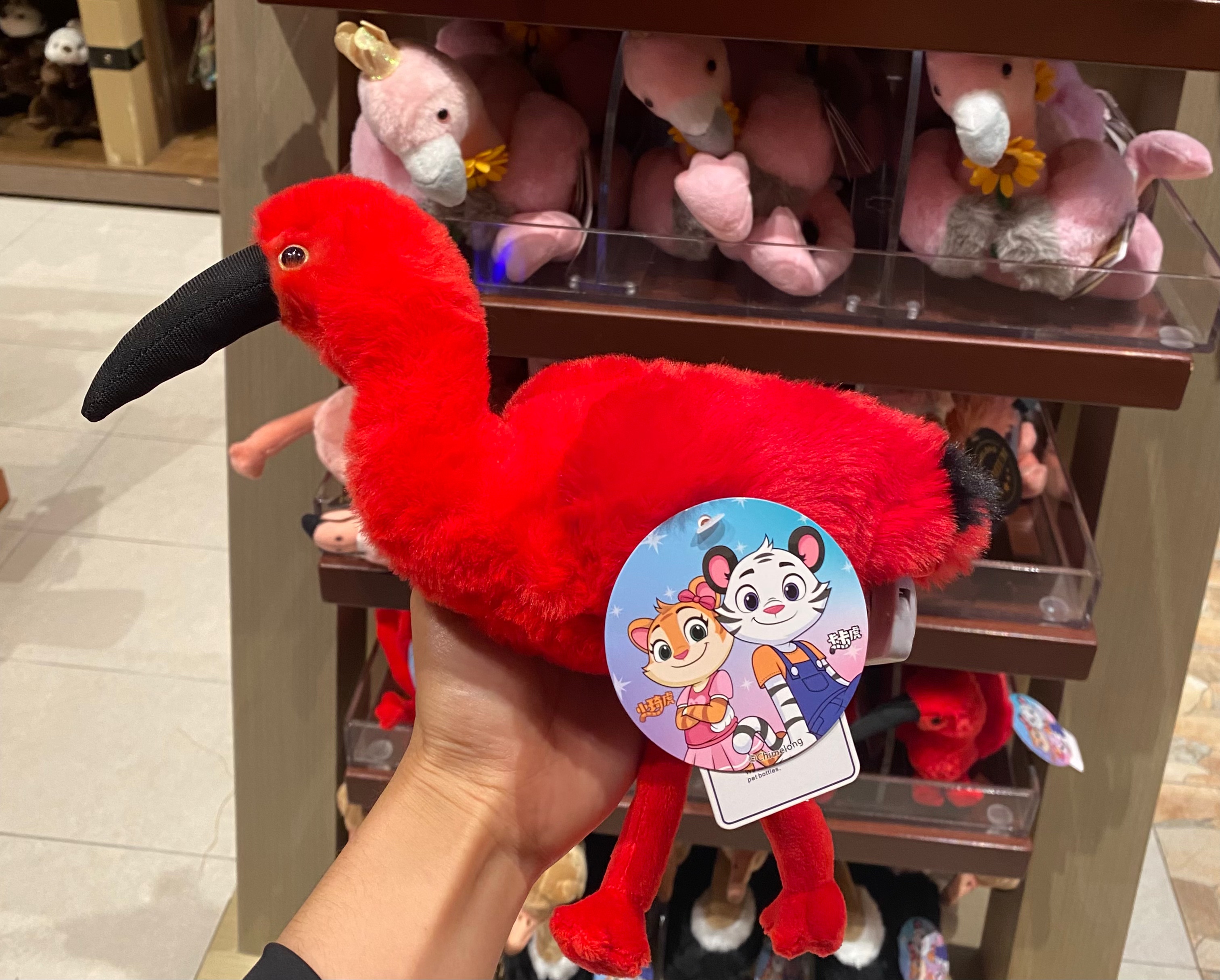 珠海广州长隆旅游纪念品动物园仿真红鹦毛绒公仔玩偶送孩子礼物