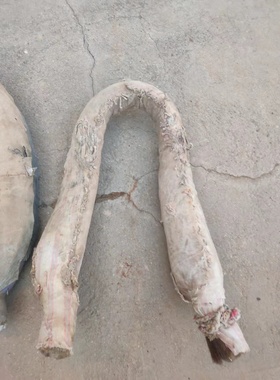 民俗老物件老马套包子农耕牲口马具旧农具马脖子套驴套牛套农村