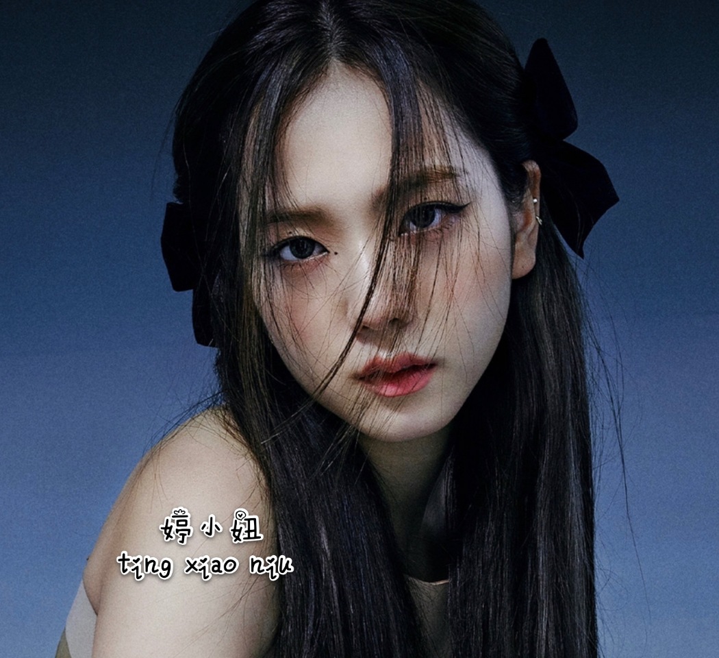手作风黑丝绒复古发夹回归同款