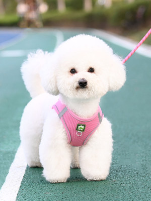 背心式狗狗牵引绳小型犬比熊泰迪博美小狗幼犬胸背带遛狗绳狗链子