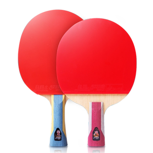 红双喜乒乓球拍六星专业级单拍狂飙8兵乓球拍成人小学生专用双拍3