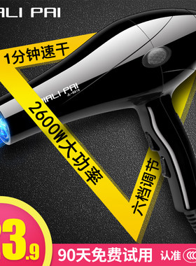 电吹风机发廊理发店寝室不伤发