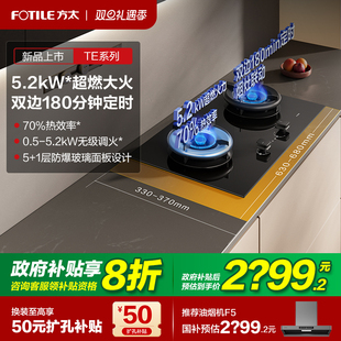 方太02 TE21燃气灶煤气灶家用双灶台定时液化天然气具官方旗舰店