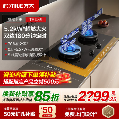 方太TE21双边定时燃气灶