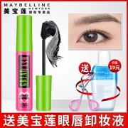 Maybelline Snapper Mascara Curling dài Không dày không thấm nước Chính thức xác thực - Kem Mascara / Revitalash