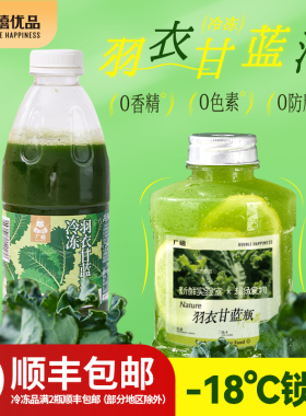 广禧冷冻羽衣甘蓝汁960g复合汁速冻鲜榨果蔬汁原浆商用奶茶店蔬菜