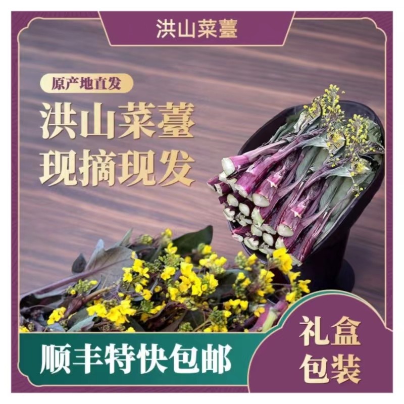 10斤洪山菜苔 礼盒套装 湖北年货特产 现摘新鲜蔬菜,水产肉类/新鲜蔬果/熟食,叶菜类,淘宝优惠券,粉丝福利购,淘宝优惠卷