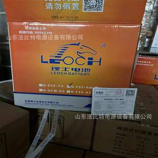 LEOCH动力蓄电池6 80电动四轮车12V80AH理士胶体蓄电池 EVF