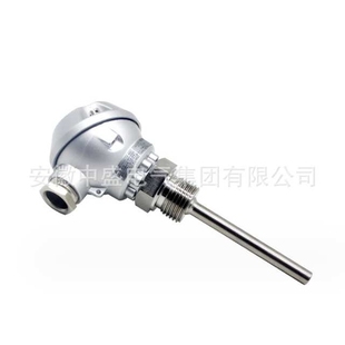 WRE 440A防爆热电偶