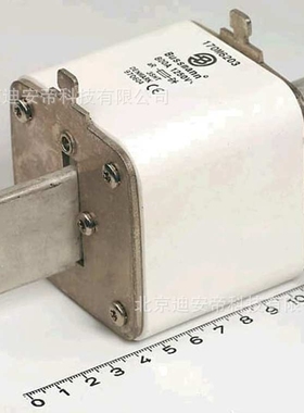 170M 6203 ,k  800A 1000V ABB熔断器 ABB备件 10029881