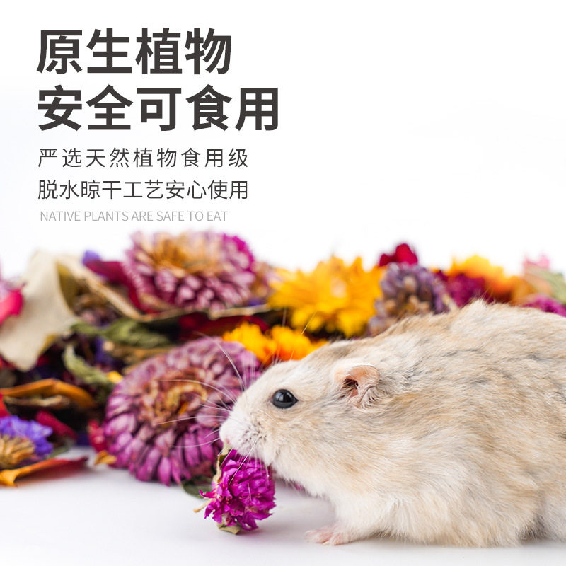 仓鼠天然花草垫料造景花枝鼠纯花垫料夏季除臭干草防臭笼子去味